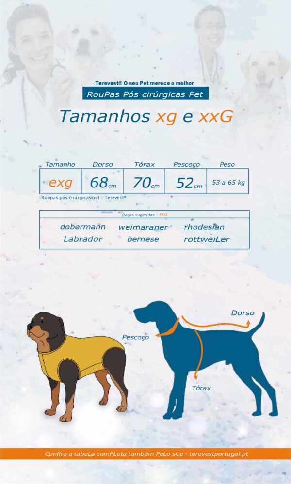 Roupa Pós-Cirúrgica para Cães Membros Inferiores e Posteriores – Ortopédicas - Image 8