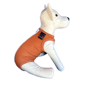 Roupa Pós-Cirúrgica para Cães Fêmea – Castração