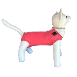 Roupa Pós-Cirúrgica para Gatos – Castração