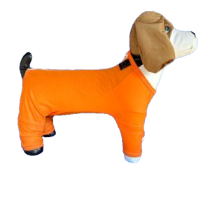 Roupa Pós-Cirúrgica para Cães Membros Inferiores e Posteriores – Ortopédicas